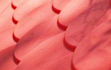 Gorddinog plastic roof costs